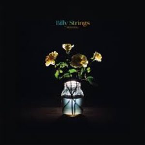 Billy Strings Renewal