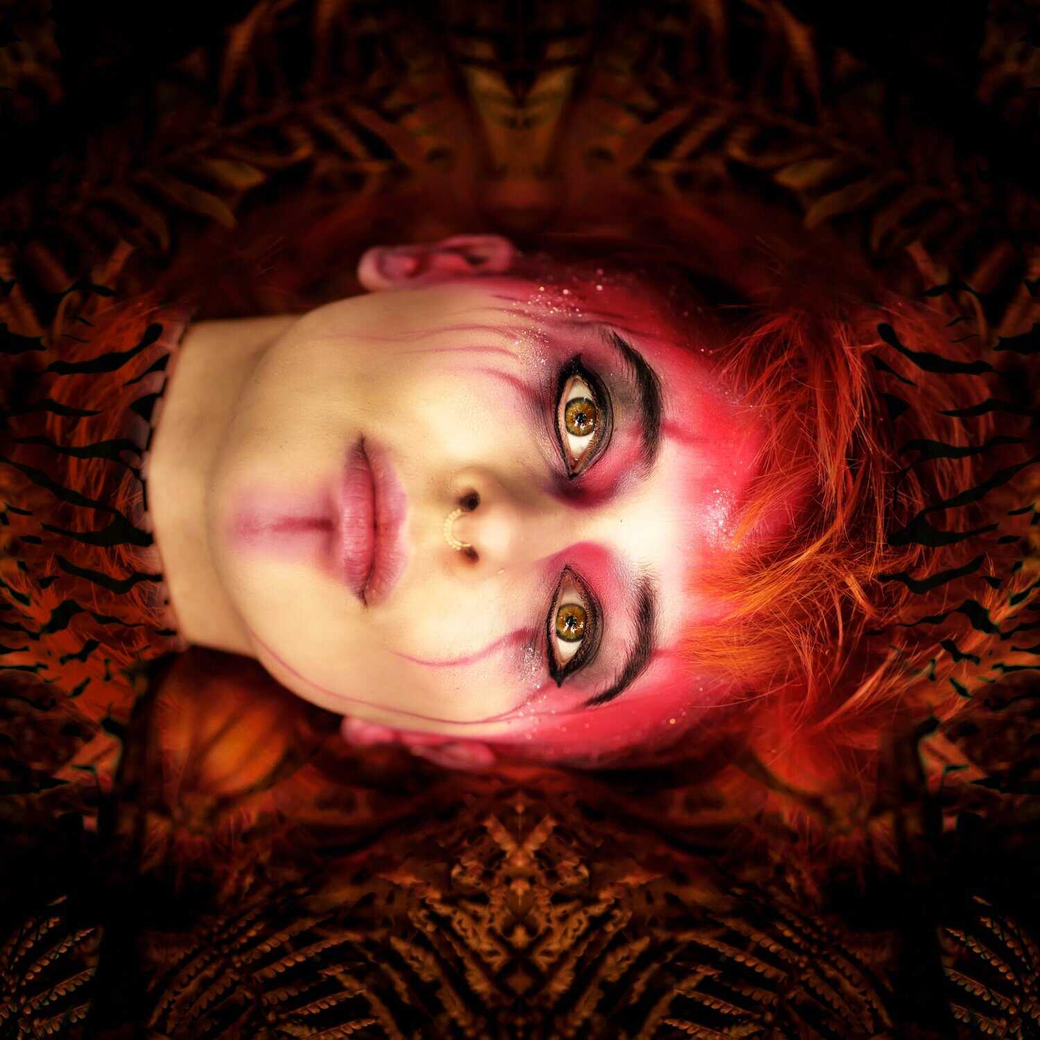 Animal Reaction Album Cover JPEG