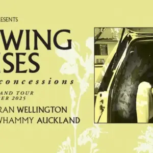 Throwing Muses Banner