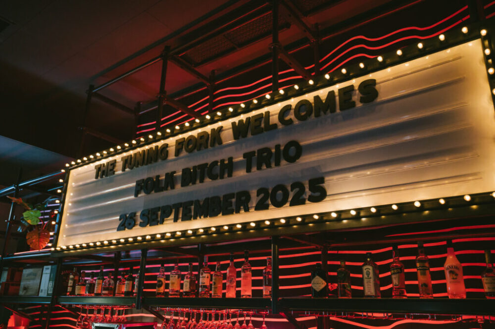 AA_FolkBitchTrio_TuningFork-7253