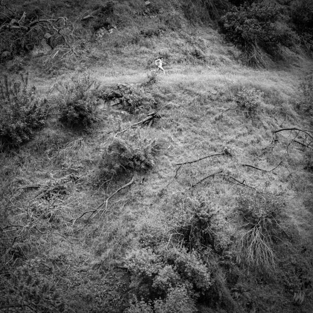 AT Album Artwork Animal Poem