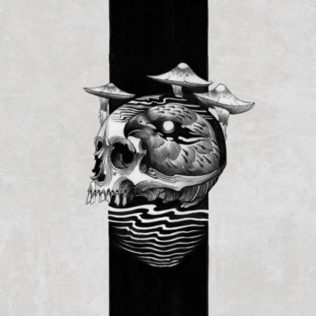 Erase Everything - Cover Artwork